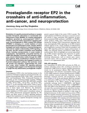 Prostaglandin Receptor EP2 in the Crosshairs of Anti-Inflammation, Anti