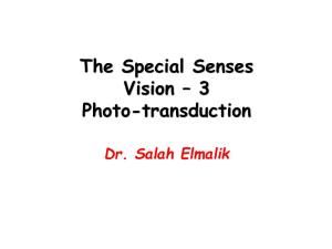 Physiology of Vision