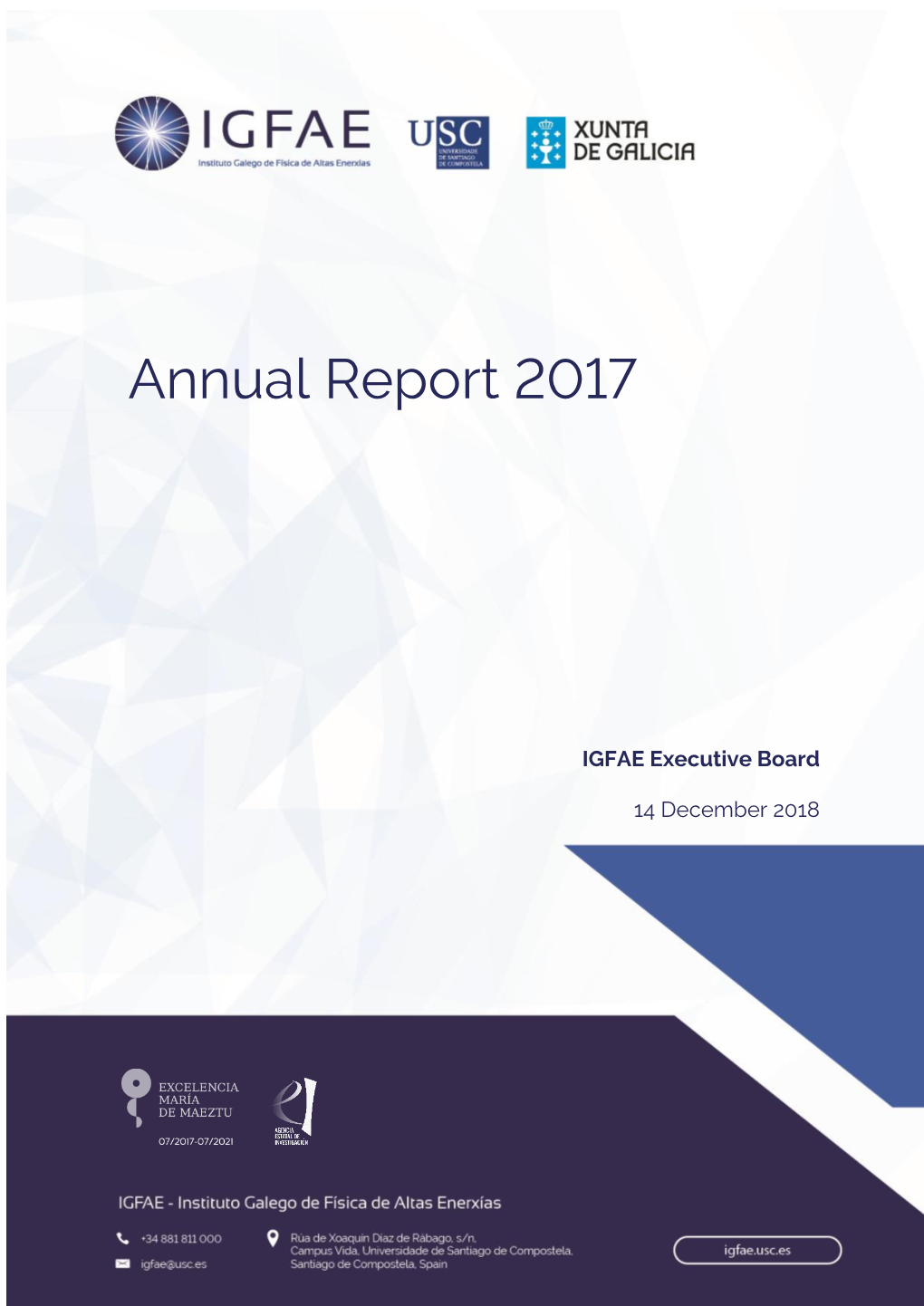 IGFAE Annual Report (2017)