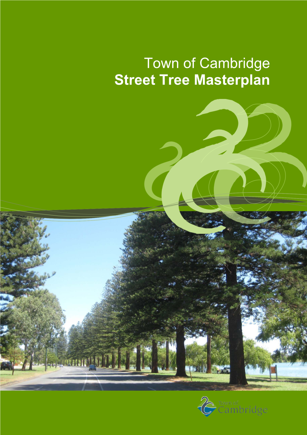 Town of Cambridge Street Tree Masterplan