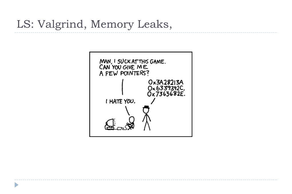 Valgrind, Memory Leaks