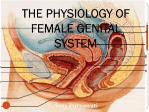 The Physiology of Female Genital System