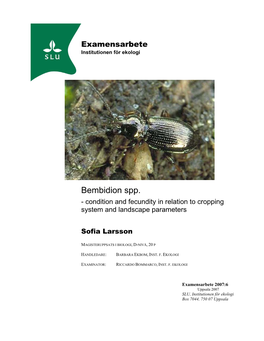 Bembidion Spp. - Condition and Fecundity in Relation to Cropping System and Landscape Parameters