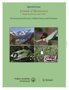 The Role of Stress Proteins in Responses of a Montane Willow Leaf Beetle to Environmental Temperature Variation