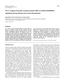 The C. Elegans G-Protein-Coupled Receptor SRA-13 Inhibits RAS/MAPK Signalling During Olfaction and Vulval Development