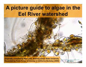 A Picture Guide to Algae in the E L Ri T H D Eel River Watershed