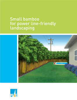 Small Bamboo for Power Line-Friendly Landscaping