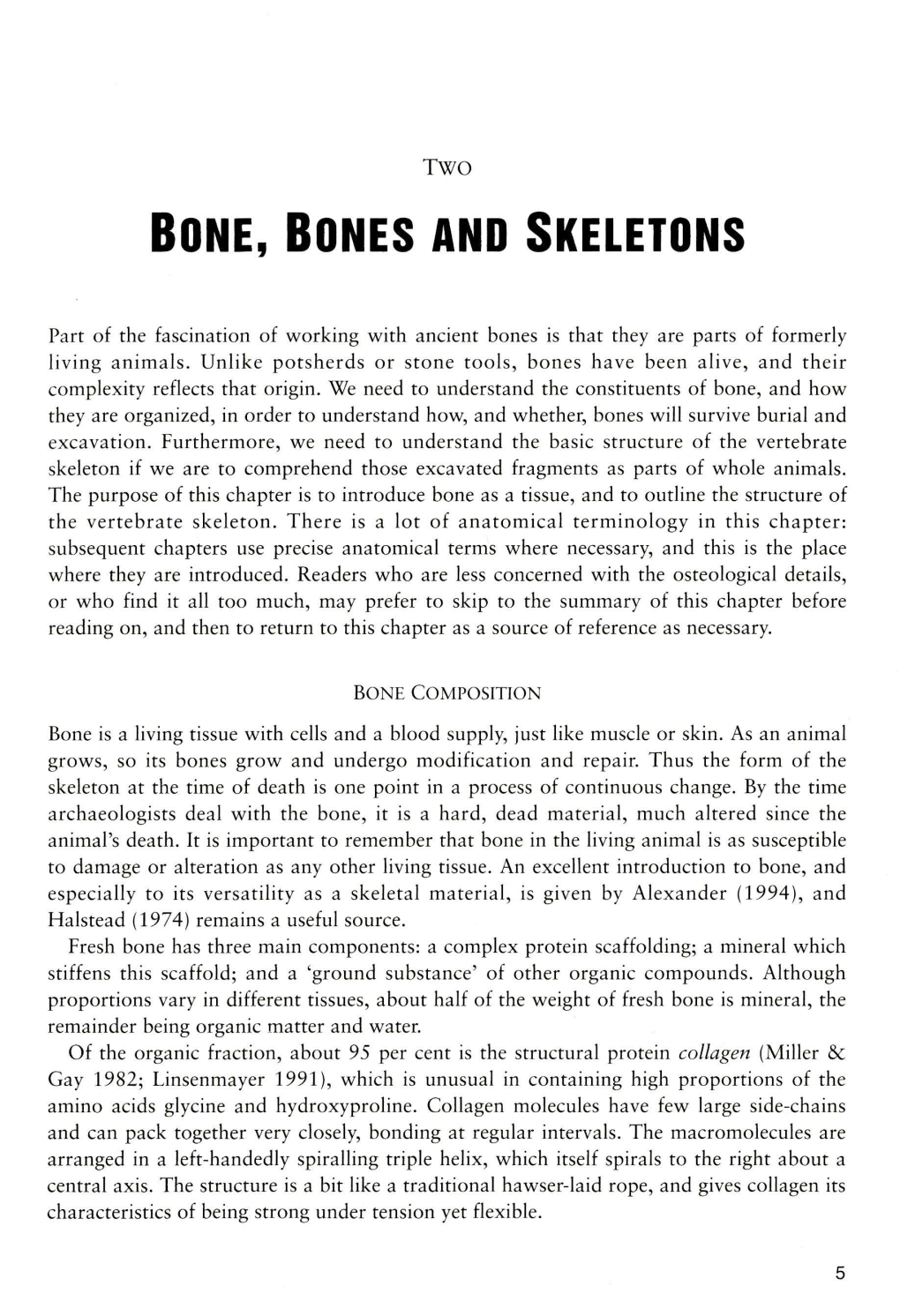 Bone, Bones and Skeletons