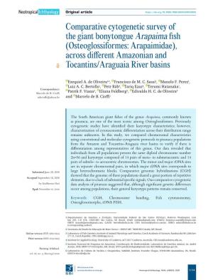 Comparative Cytogenetic Survey of the Giant Bonytongue Arapaima Fish (Osteoglossiformes: Arapaimidae), Across Different Amazonian and Tocantins/Araguaia River Basins