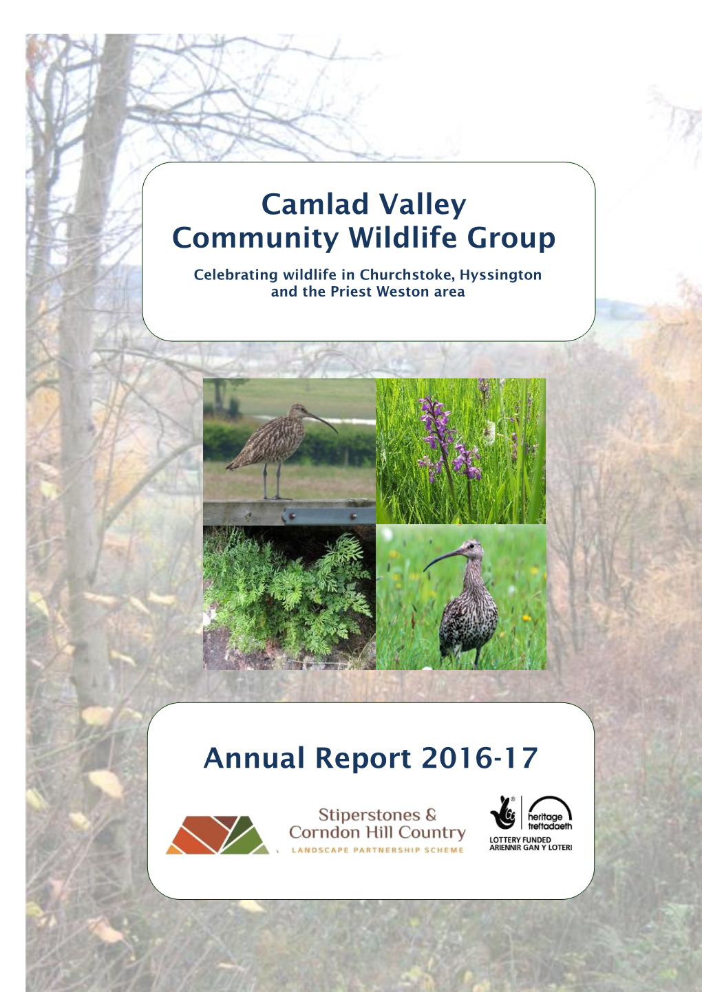 Annual Report 2016-17