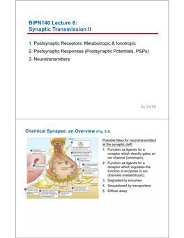 BIPN140 Lecture 8: Synaptic Transmission II