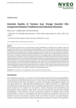 Aromatic Quality of Tunisian Sour Orange Essential Oils: Comparison Between Traditional and Industrial Extraction