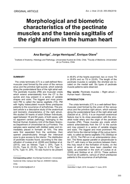 Morphological and Biometric Characteristics of the Pectinate Muscles and the Taenia Sagittalis of the Right Atrium in the Human Heart