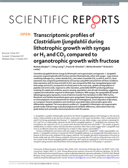 Transcriptomic Profiles of Clostridium Ljungdahlii During Lithotrophic