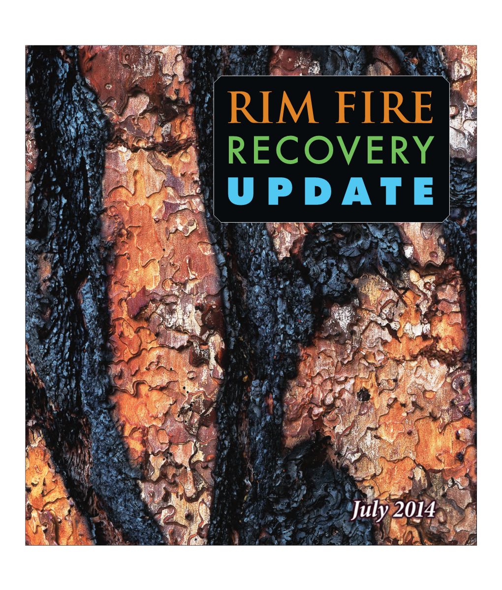 RIM FIRE RECOVERY UPDATE 0 C (}) from the Desk of the J Z ~ C Forest Supervisor Gl I Z