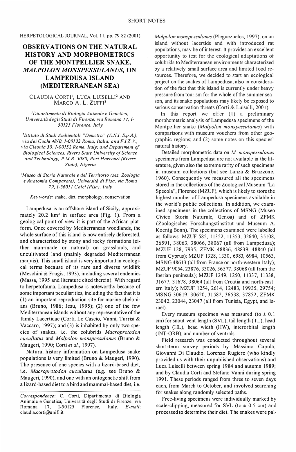 Mediterranean Environments Characterized MALPOLONMONSPE SSULANUS, on by a Relatively Small Surface Area and Limited Food Re­ LAMPEDUSA ISLAND Sources