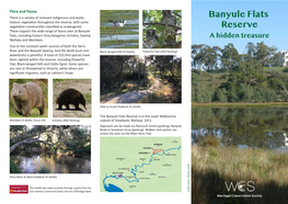 Banyule Flats Reserve Is in the Outer Melbourne Wombat (D Wats, Focus UK) Echidna (AM Fleming) Suburb of Viewbank, Melway: 32F2