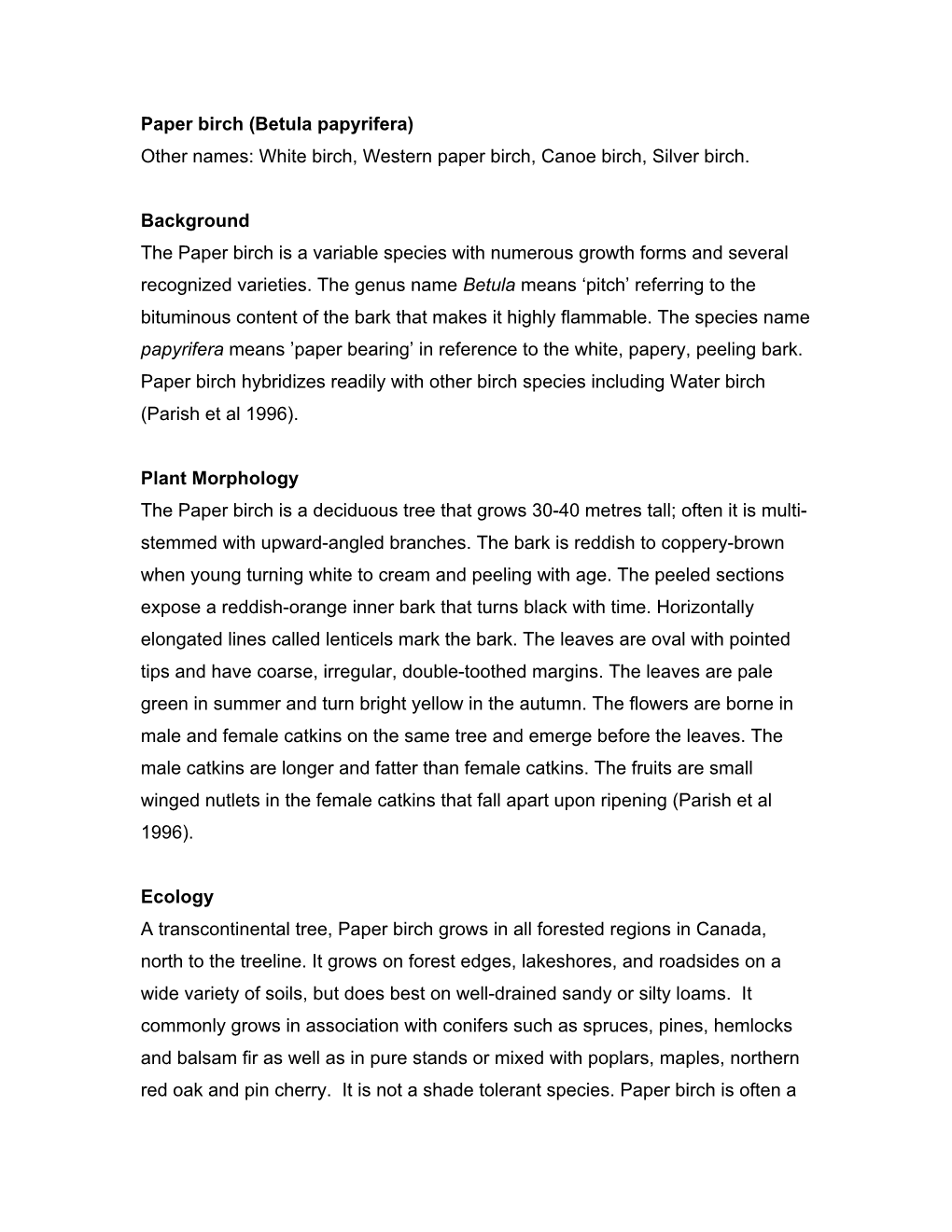 Paper Birch (Betula Papyrifera) Other Names: White Birch, Western Paper Birch, Canoe Birch, Silver Birch