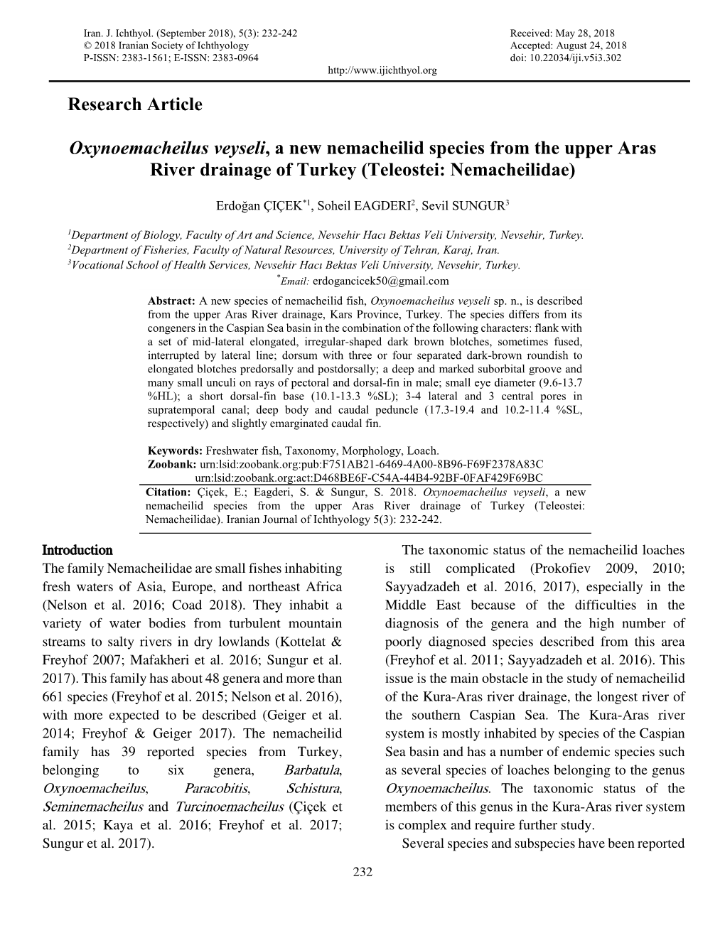 Research Article Oxynoemacheilus Veyseli, a New Nemacheilid Species
