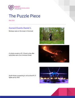 The Puzzle Piece