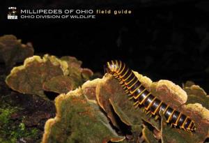 Millipedes of Ohio Field Guide [Pdf]