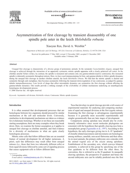 Asymmetrization of First Cleavage by Transient Disassembly of One Spindle Pole Aster in the Leech Helobdella Robusta ⁎ Xiaoyun Ren, David A