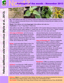 Yellow Tailflower Mild Mottle Virus (Wylie Et Al., 2013)
