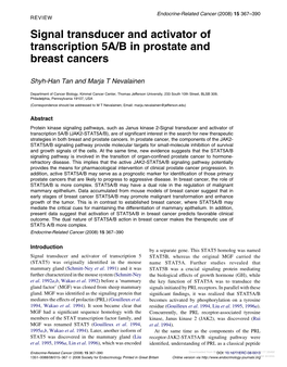 Signal Transducer and Activator of Transcription 5A/B in Prostate and Breast Cancers