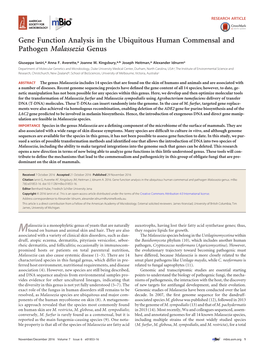 Gene Function Analysis in the Ubiquitous Human Commensal and Pathogen Malassezia Genus