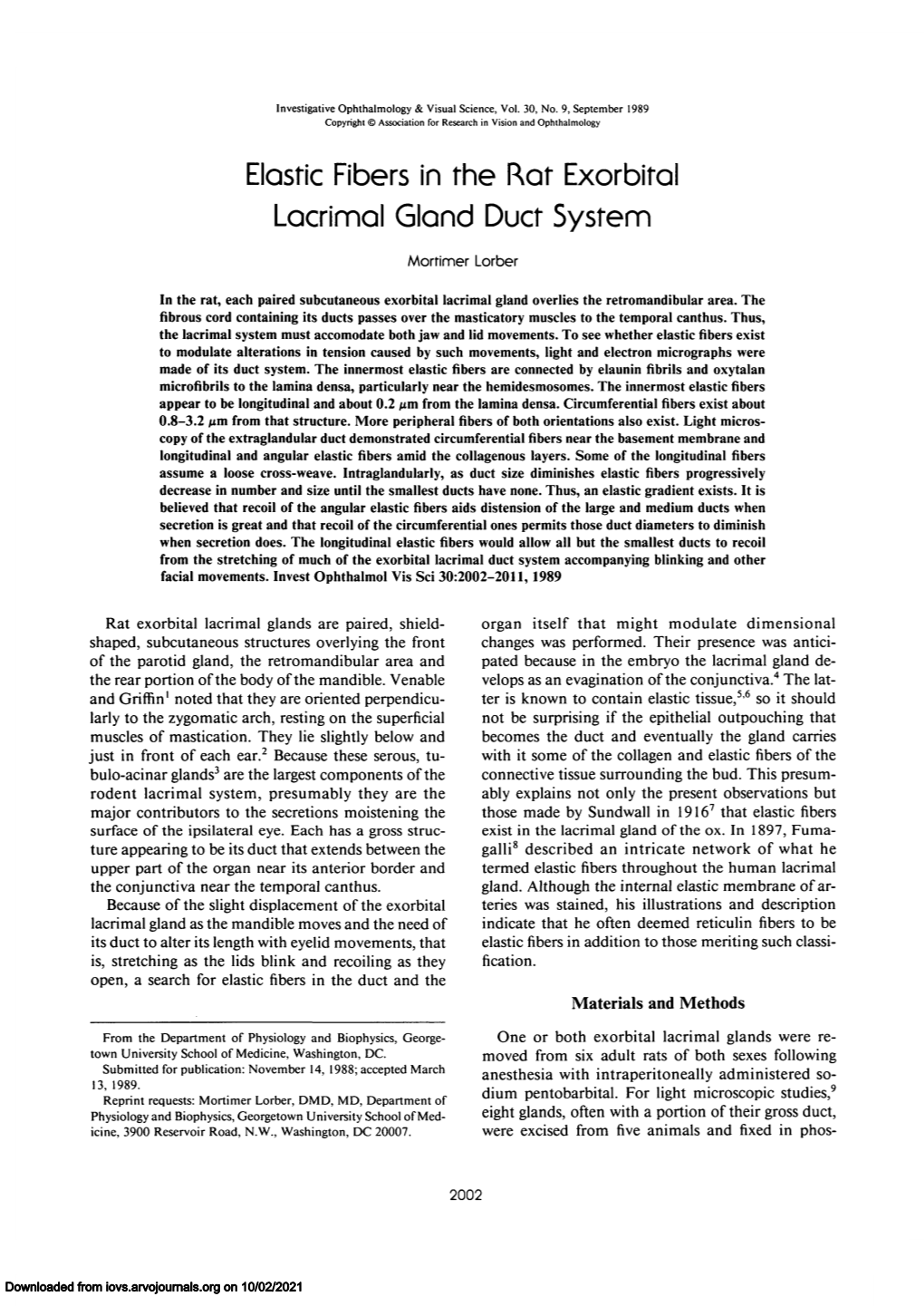 Elastic Fibers in the Rat Exorbital Lacrimal Gland Duct System