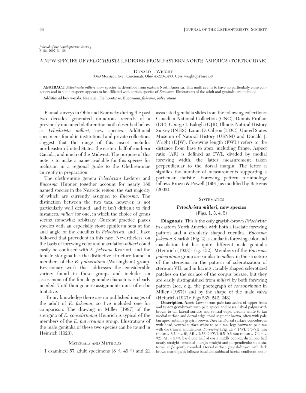 A New Species of Pelochrista Lederer from Eastern North America (Tortricidae)