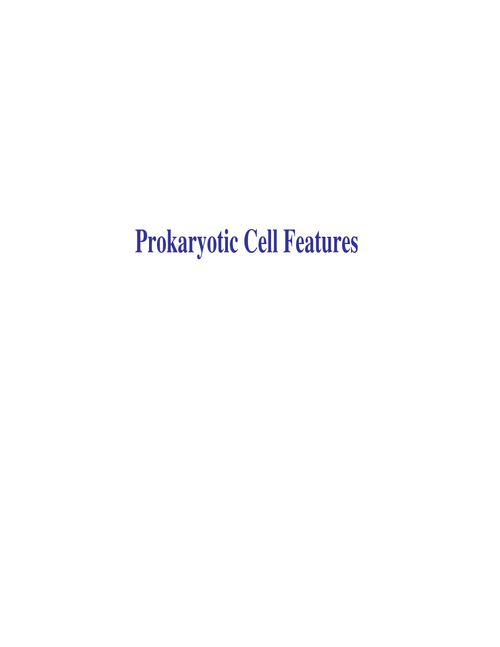 Prokaryotic Cell Features