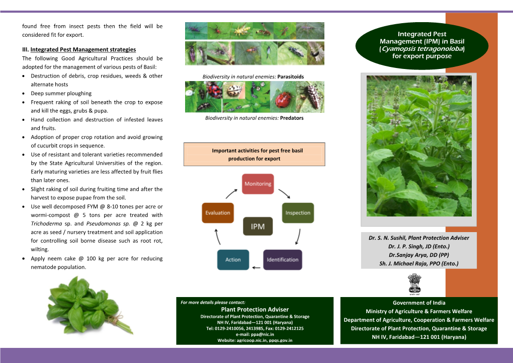 (Cyamopsis Tetragonoloba) the Following Good Agricultural Practices Should Be for Export Purpose Adopted for the Management of Various Pests of Basil