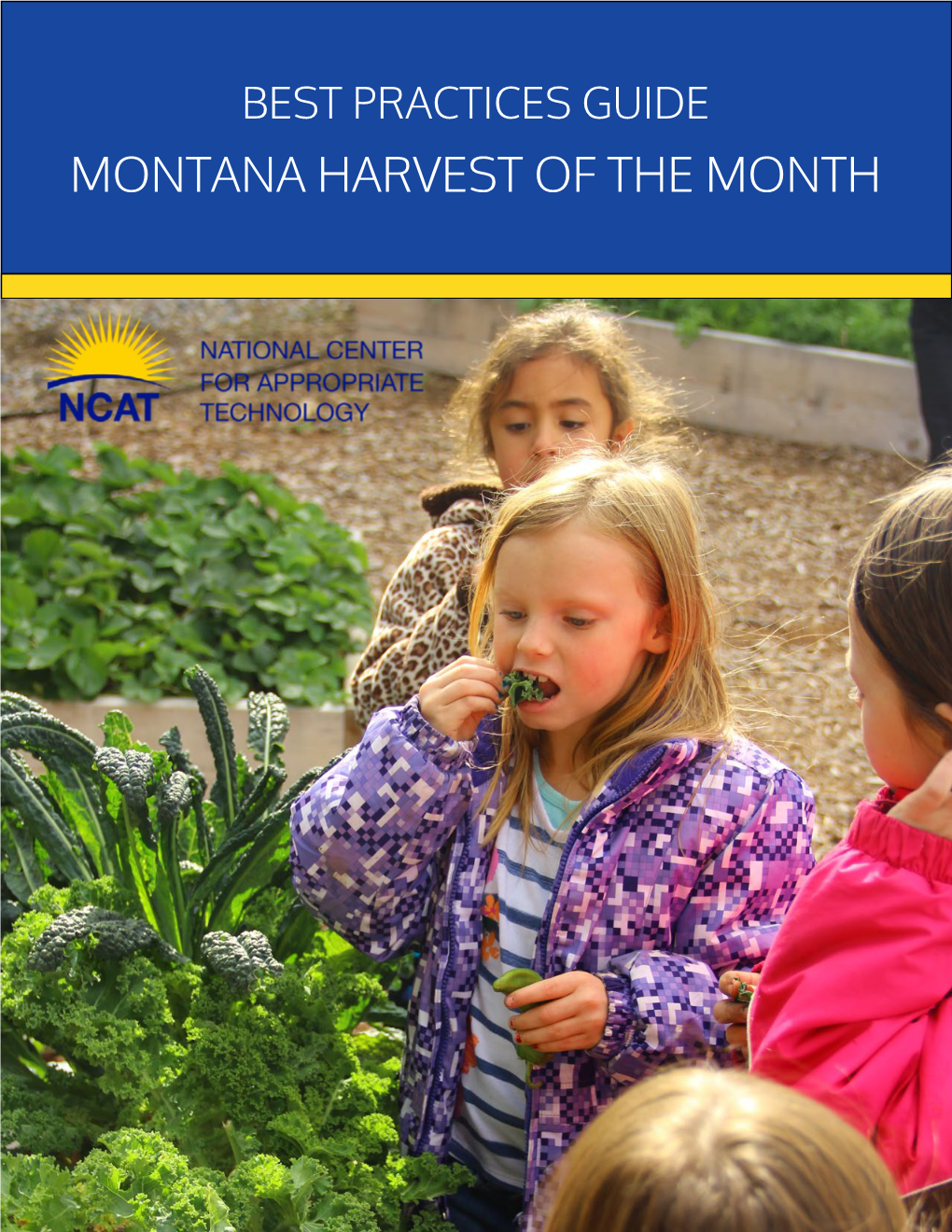 Montana Harvest of the Month