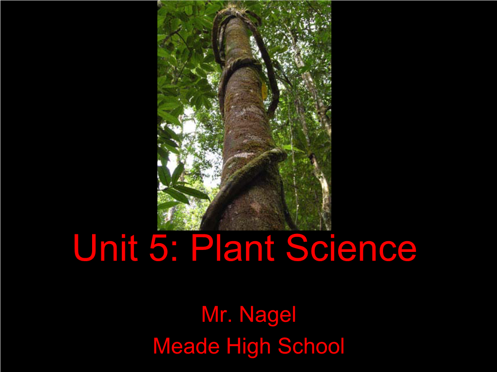 Unit 5: Plant Science