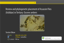 Review and Phylogenetic Placement of Assassin Flies (Asilidae) in Tertiary: Eocene Ambers
