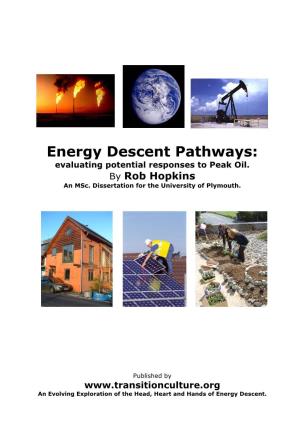 Energy Descent Pathways: Evaluating Potential Responses to Peak Oil