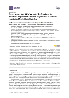 Development of 14 Microsatellite Markers for Zoonotic Tapeworm Dibothriocephalus Dendriticus (Cestoda: Diphyllobothriidea)