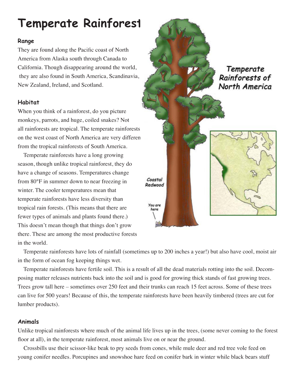 Temperate Rainforests