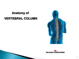 Anatomy of VERTEBRAL COLUMN