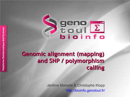 Genomic Alignment (Mapping) and SNP / Polymorphism Calling