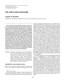 Life with Carbon Monoxide