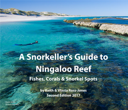A Snorkeller's Guide to Ningaloo Reef