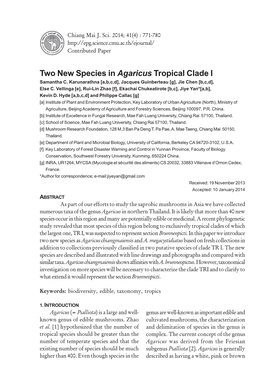Two New Species in Agaricus Tropical Clade I Samantha C