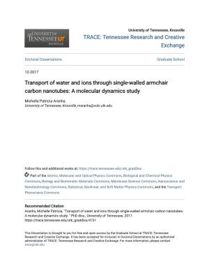 Transport of Water and Ions Through Single-Walled Armchair Carbon Nanotubes: a Molecular Dynamics Study
