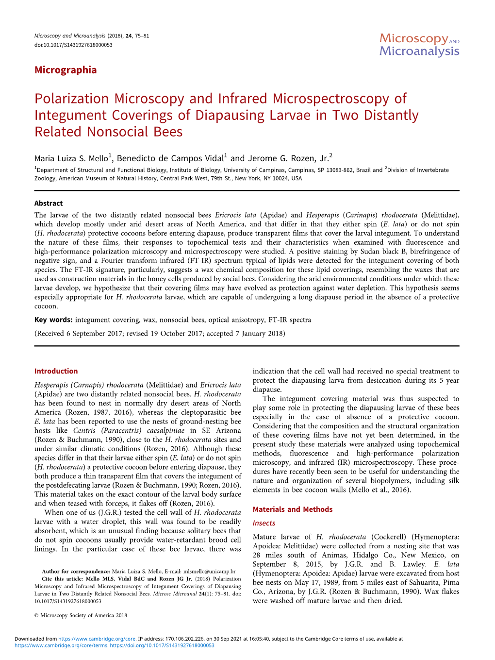 Polarization Microscopy and Infrared Microspectroscopy of Integument Coverings of Diapausing Larvae in Two Distantly Related Nonsocial Bees