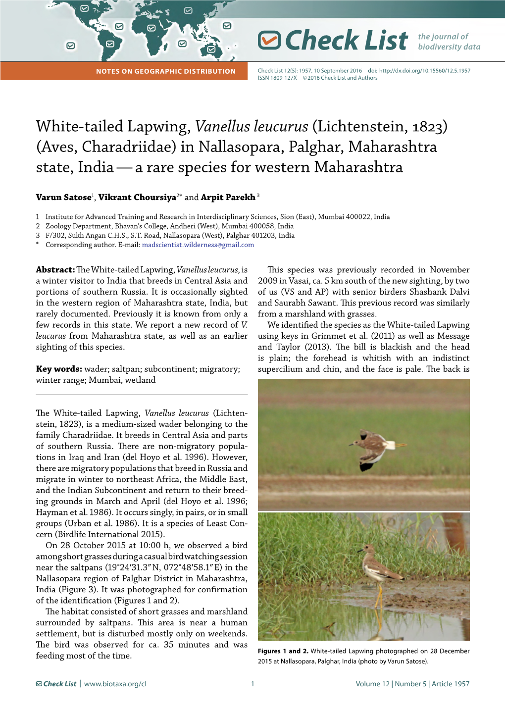 White-Tailed Lapwing, Vanellus Leucurus (Lichtenstein, 1823)(Aves, Charadriidae) in Nallasopara, Palghar, Maharashtra State, India—A Rare Species for Western Maharashtra