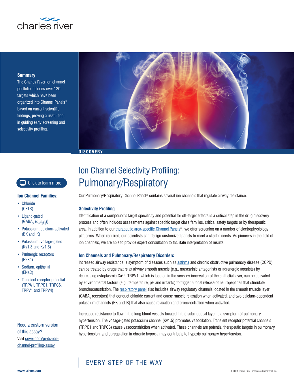 Ion Channel Selectivity Profiling: Pulmonary/Respiratory
