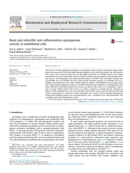 Basal and Inducible Anti-Inflammatory Epoxygenase Activity in Endothelial Cells