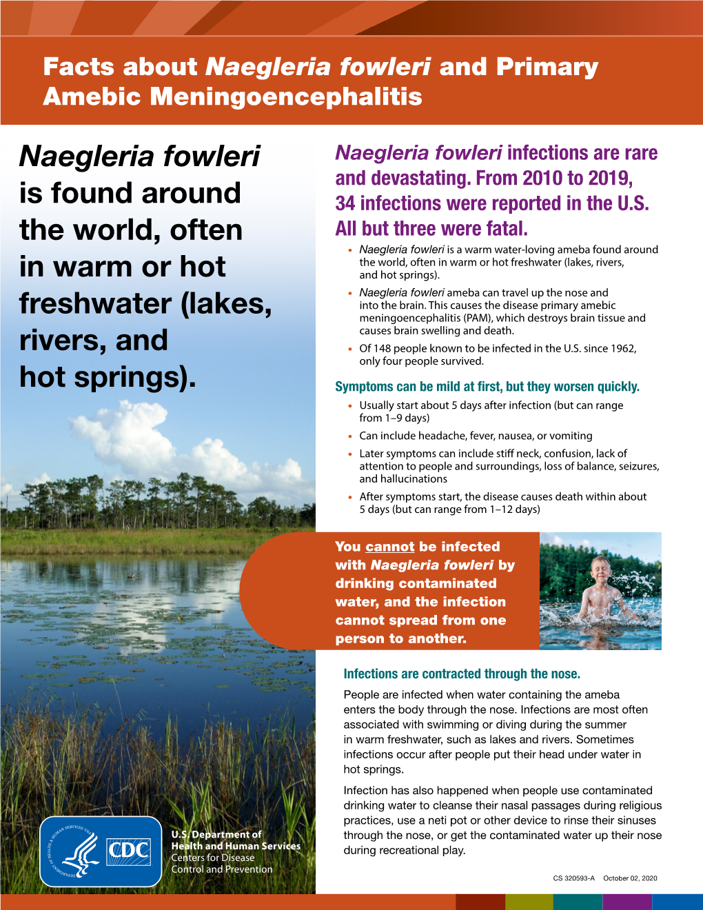 Facts About Naegleria Fowleri and Primary Amebic Meningoencephalitis